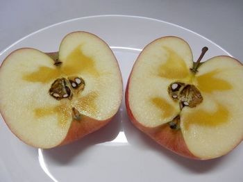 蜜入りリンゴ.JPG